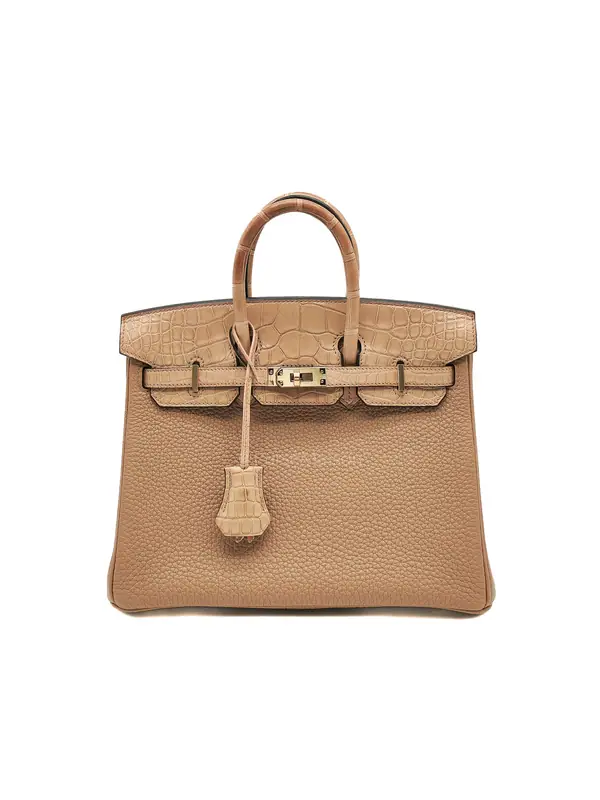 Hermes Birkin 25  Retourne Touch in Chai Togo and Alligator Leather in Permabrass Hardware Stamp U (2022)